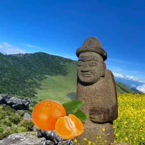 제주