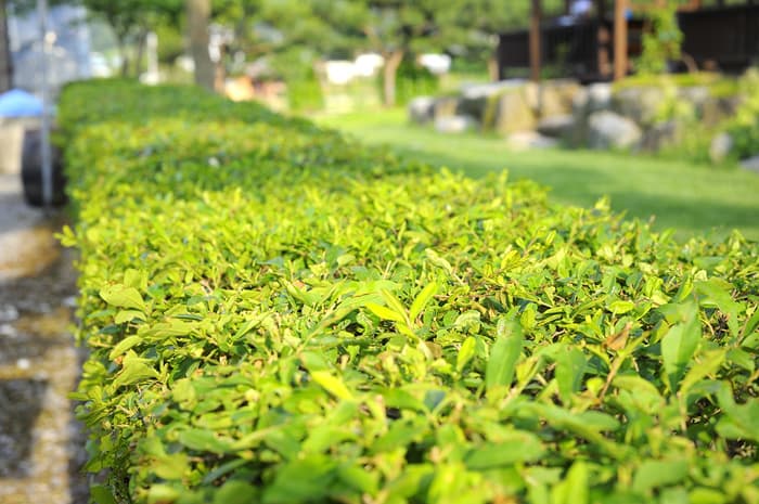 https://img.ddnayo.com/DataImage/0010/1b7ce60a6c1e478795c188f91422e6f6.jpg