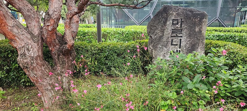 2023년 서울 여행 2-2 – 동숭동 마로니에 공원, 홍대거리
