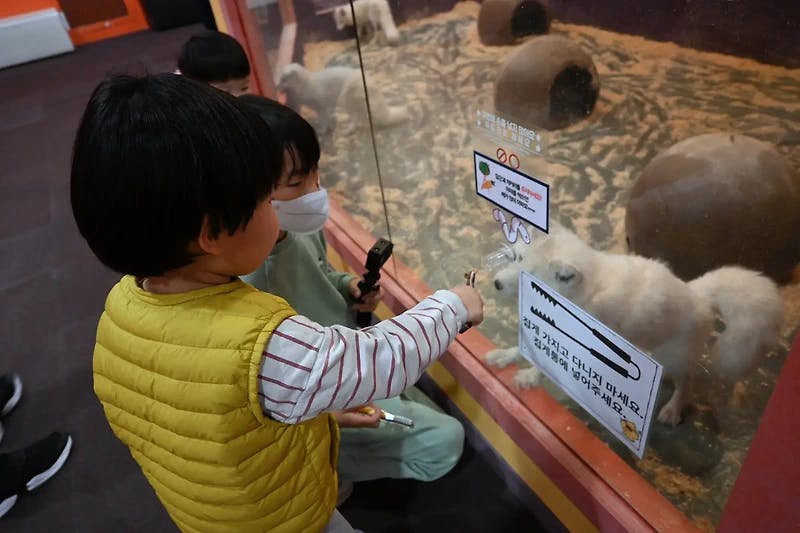 기흥 하이브패밀리 테마파크 온가족이 즐기는 동물원이 있는...