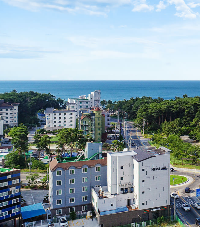 [펜션] 깨끗한 강릉 니시스파펜션 후기