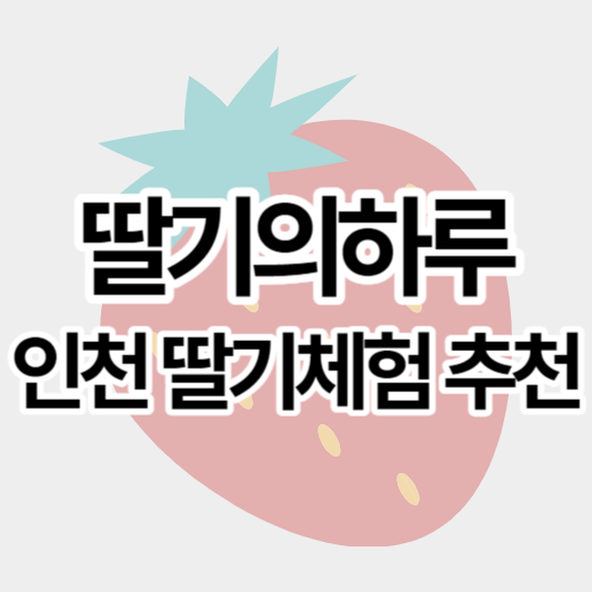 인천 딸기체험 딸기의하루 방문후기 (예약, 체험, 체험요금, 주차)