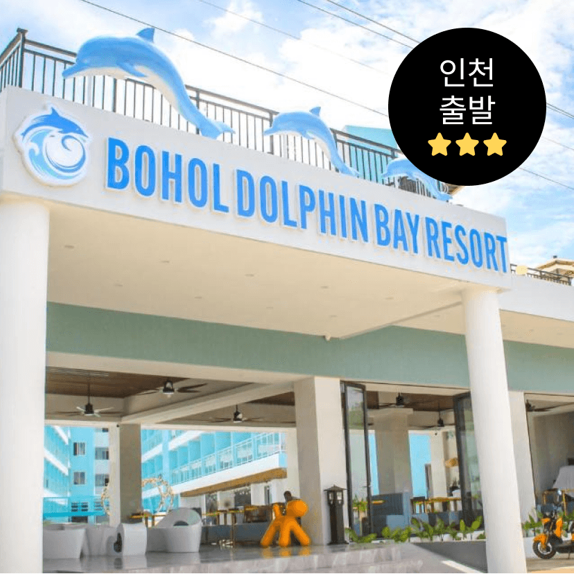 https://mom-mom.cdn-nhncommerce.com/20241220/165157.140349000/C썸네일.png