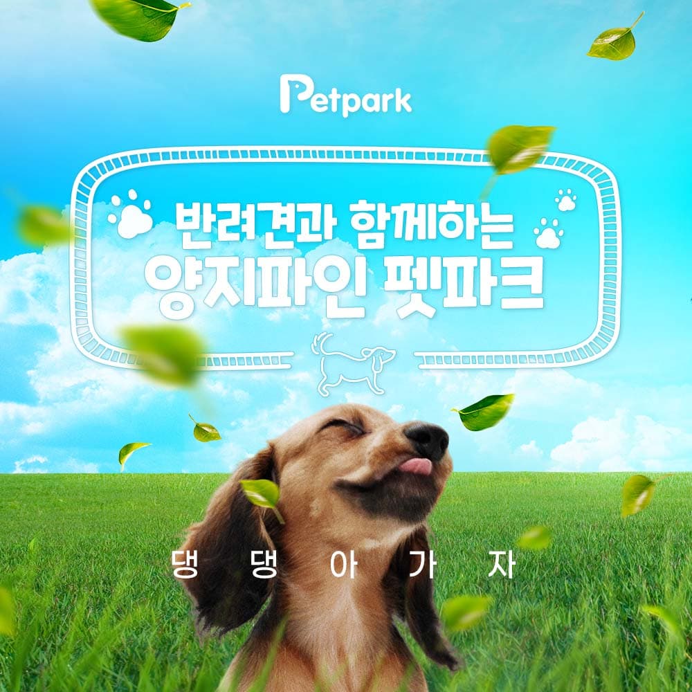 https://mom-mom.cdn-nhncommerce.com/20250318/155014.56170000/양지파인펫파크_썸네일.jpg