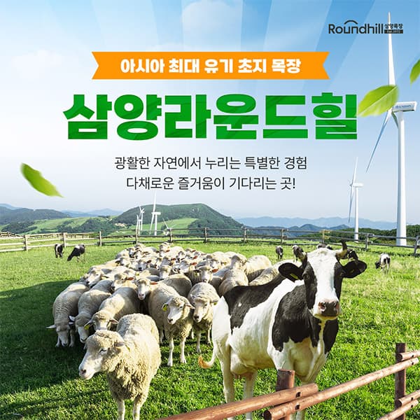 https://mom-mom.cdn-nhncommerce.com/20250425/191005.740312000/야놀자.jpg