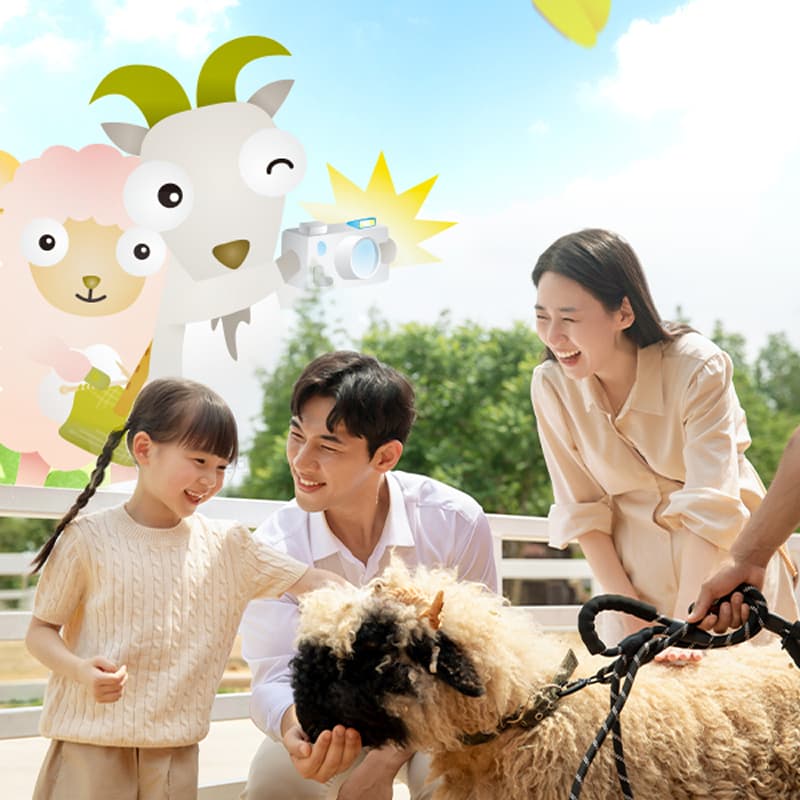 안성팜랜드 입장권(9/1~9/13 이용가능)