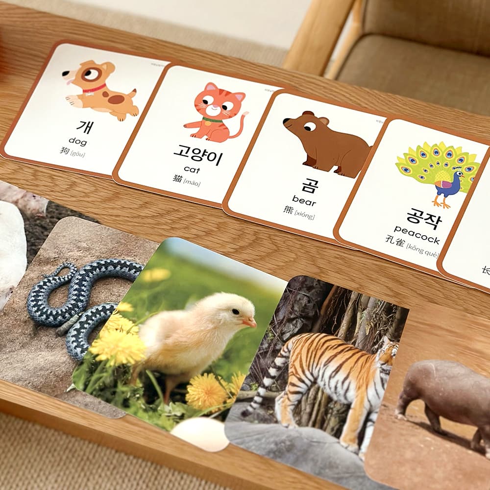 https://mom-mom.cdn-nhncommerce.com/Mall-No-Chsg/20240520/200945.796123000/하뚱낱말카드_썸네일_사진2.jpg