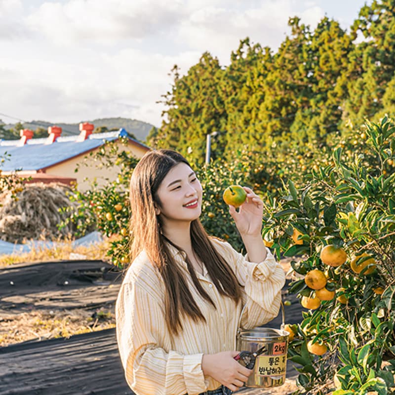 https://mom-mom.cdn-nhncommerce.com/Mall-No-Chsg/20240823/103237.258211000/맘맘_썸네일_800x800_3mb.jpg