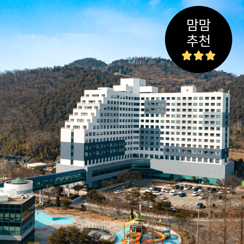 https://mom-mom.cdn-nhncommerce.com/Mall-No-Chsg/20240912/124034.827480000/화순-패키지.png