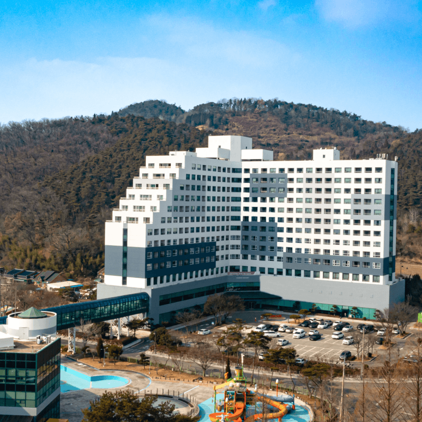 https://mom-mom.cdn-nhncommerce.com/Mall-No-Chsg/20241210/112217.926197000/화순-패키지.png