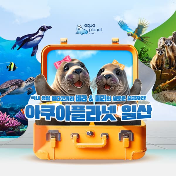 https://mom-mom.cdn-nhncommerce.com/Mall-No-Chsg/20250226/192559.991465000/썸네일.jpg