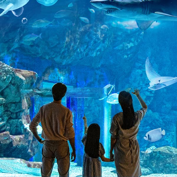 https://mom-mom.cdn-nhncommerce.com/Mall-No-Chsg/20250325/141630.853385000/썸네일.jpg