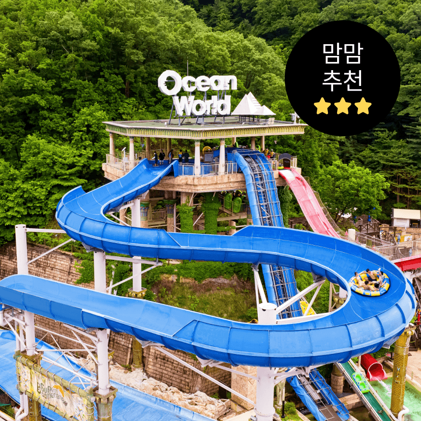 https://mom-mom.cdn-nhncommerce.com/Mall-No-Chsg/20250602/150818.859595232/소노벨캄 썸네일.png