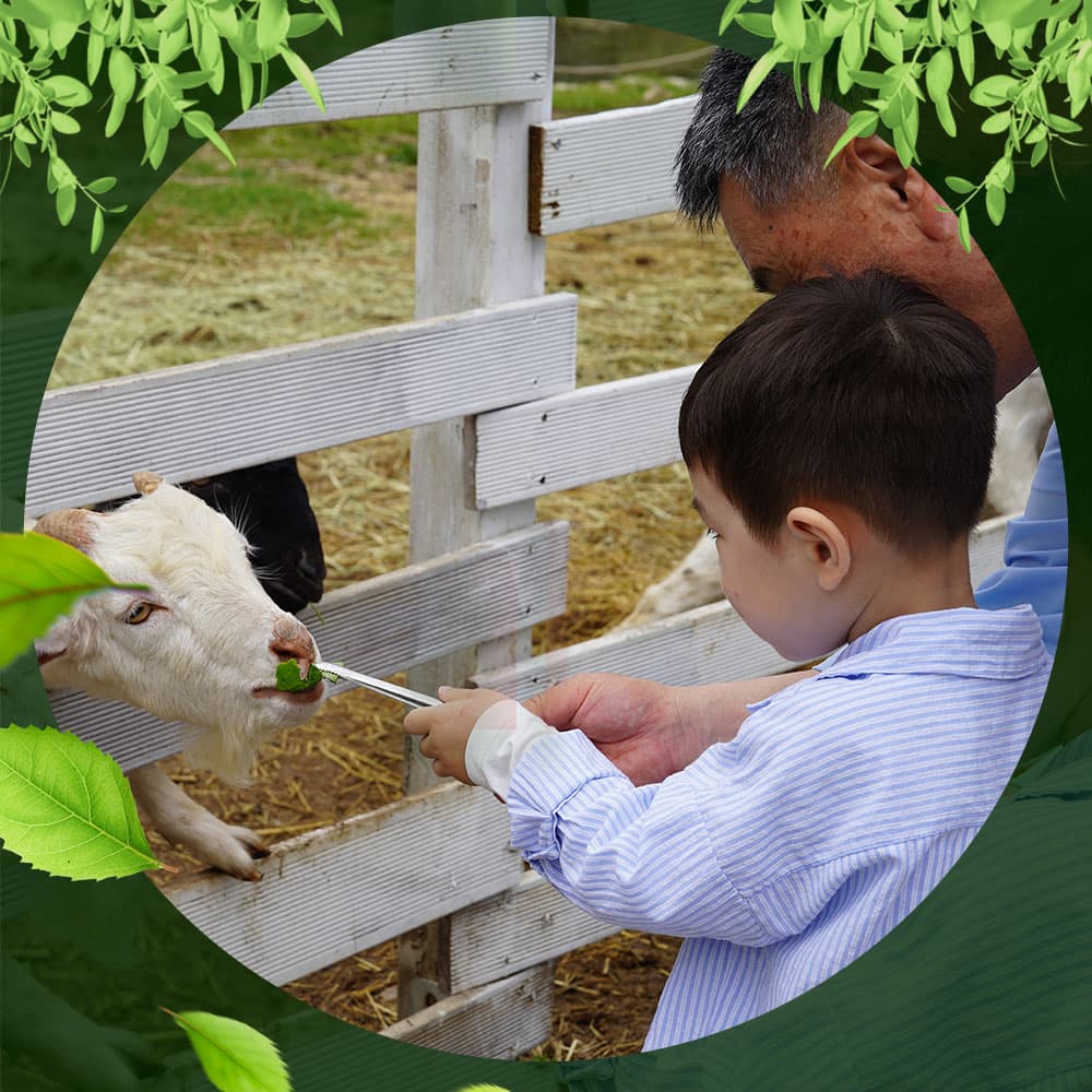 https://mom-mom.cdn-nhncommerce.com/Mall-No-Chsg/20250723/144432.106396304/1000x1000.jpg