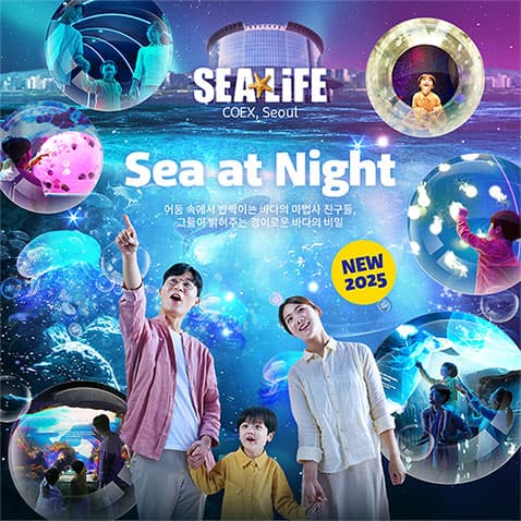 https://mom-mom.cdn-nhncommerce.com/Mall-No-Chsg/20250731/102418.307519562/썸네일_478.jpg