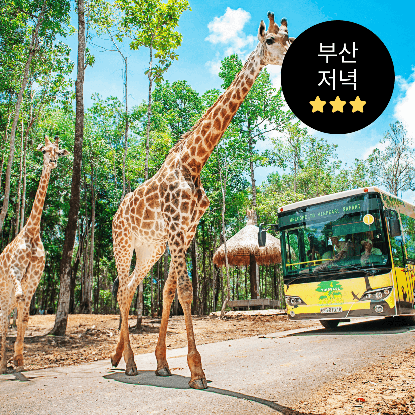 https://mom-mom.cdn-nhncommerce.com/Mall-No-Chsg/20250806/203148.240546222/빈펄F.png