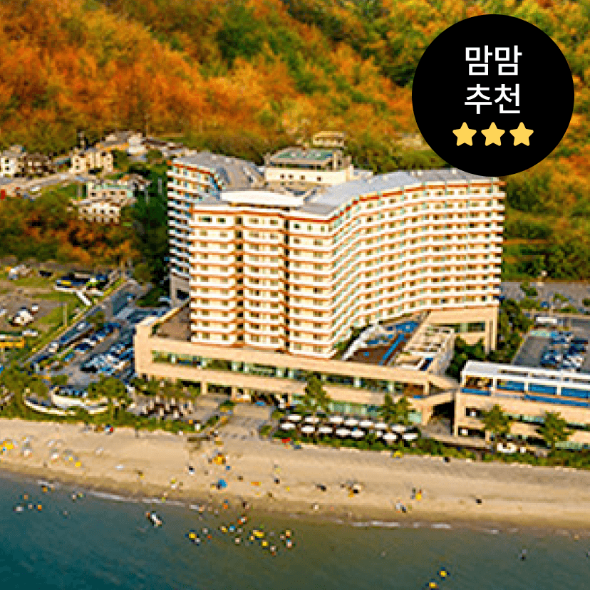 https://mom-mom.cdn-nhncommerce.com/Mall-No-Chsg/20250901/110936.627545188/썸네일-비체.png