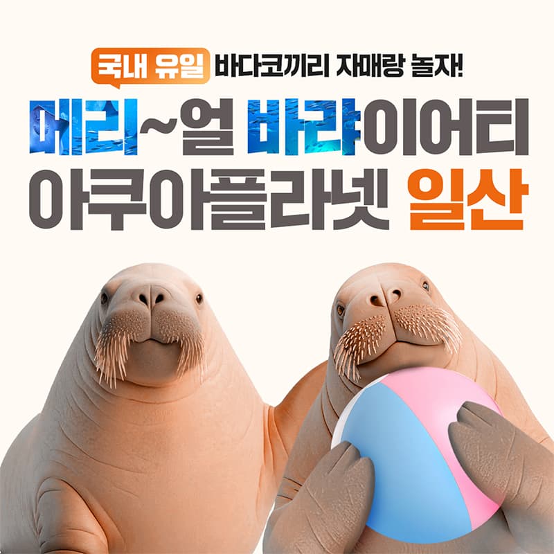 https://mom-mom.cdn-nhncommerce.com/Mall-No-Chsg/20251001/191405.820654162/맘맘_썸네일_800x800_3mb.jpg