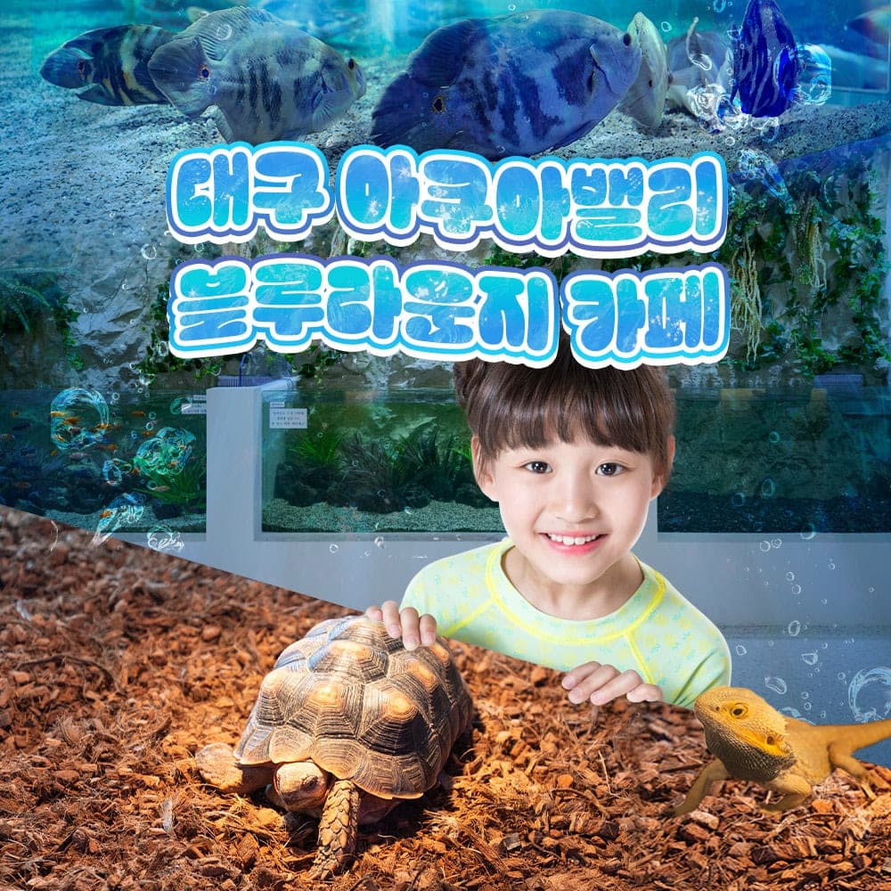 [대구] 아쿠아밸리 블루라운지 카페(5/1~)