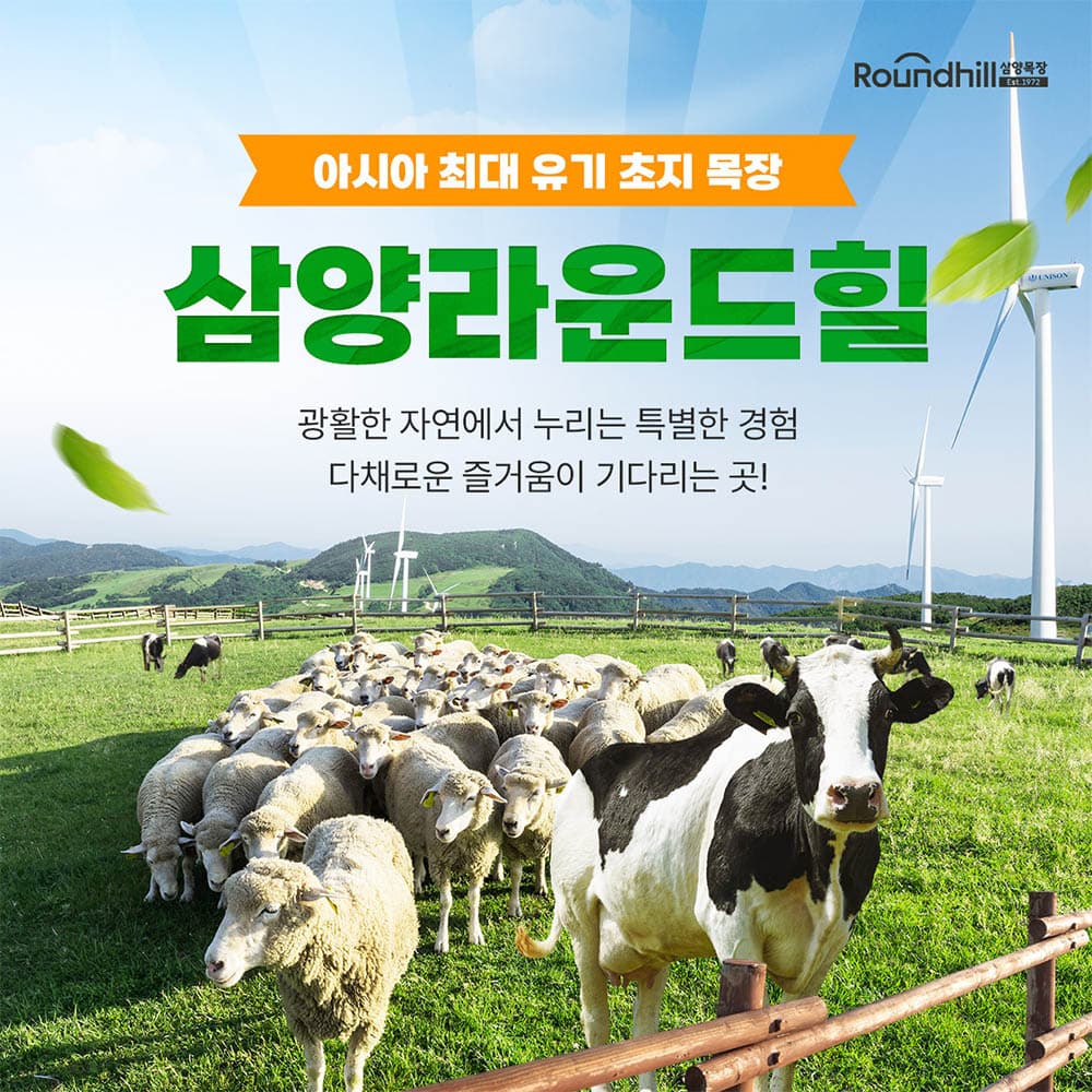 [강원 평창] 대관령 삼양라운드힐
