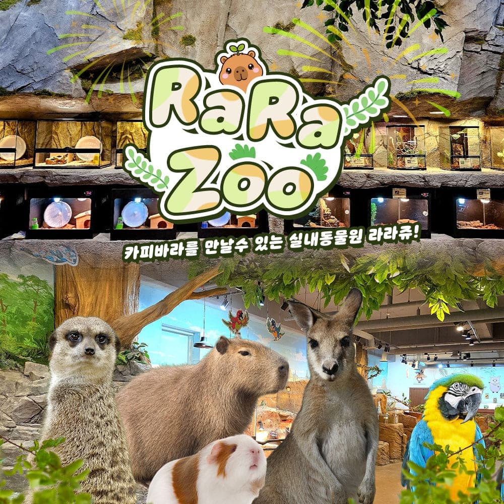 [부산] 부산 아이랑 가볼만한곳 라라쥬 실내동물원
