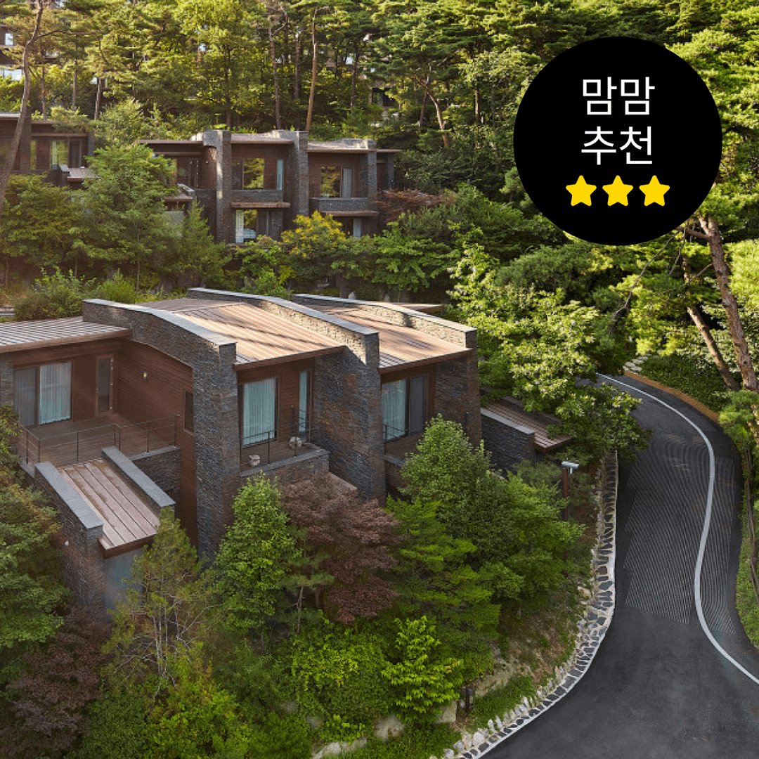 https://mom-mom.cdn-nhncommerce.com/Mall-No-Chsg/20260708/002210.908490728/썸네일-포레스트.png