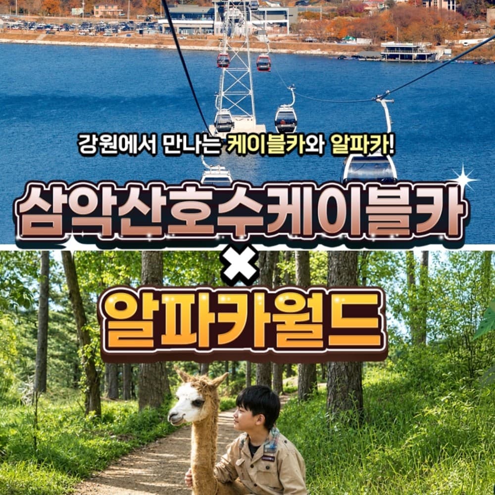 [강원] 삼악산케이블카X알파카월드 PKG