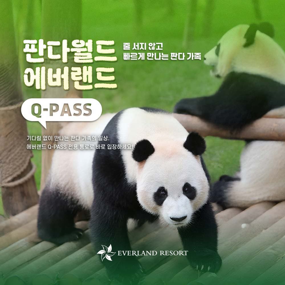 [용인] 에버랜드 Q-PASS: 판다월드 (~10/31)