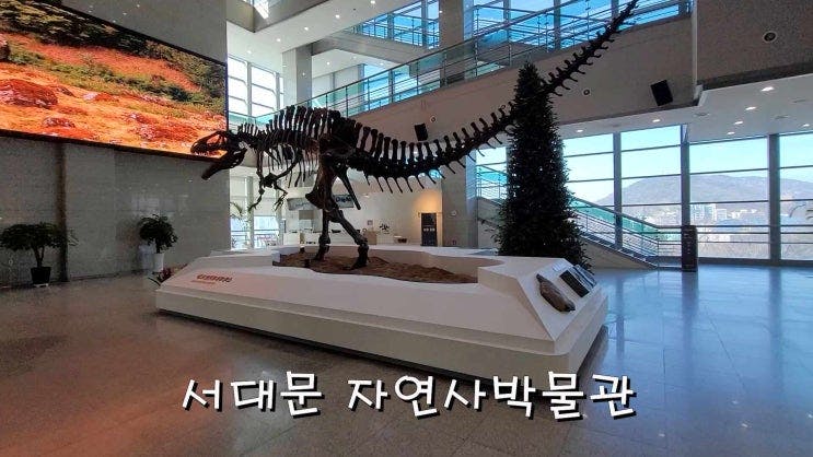 서울 아이랑 갈만한곳 서대문자연사박물관
