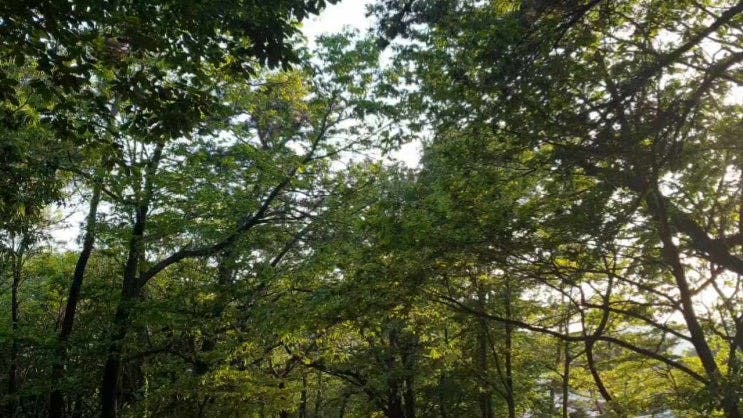 김해 분성산 생태숲, 생태체험관 황토길 가볼만한곳
