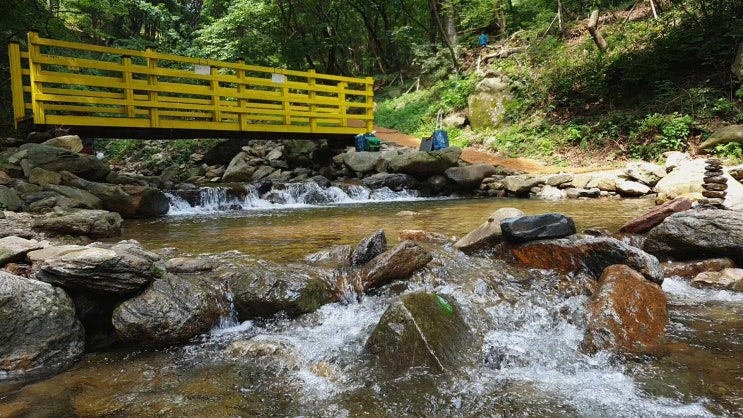 대구근교 숲속의 여름 김천 물소리생태숲/경북 여름피서지