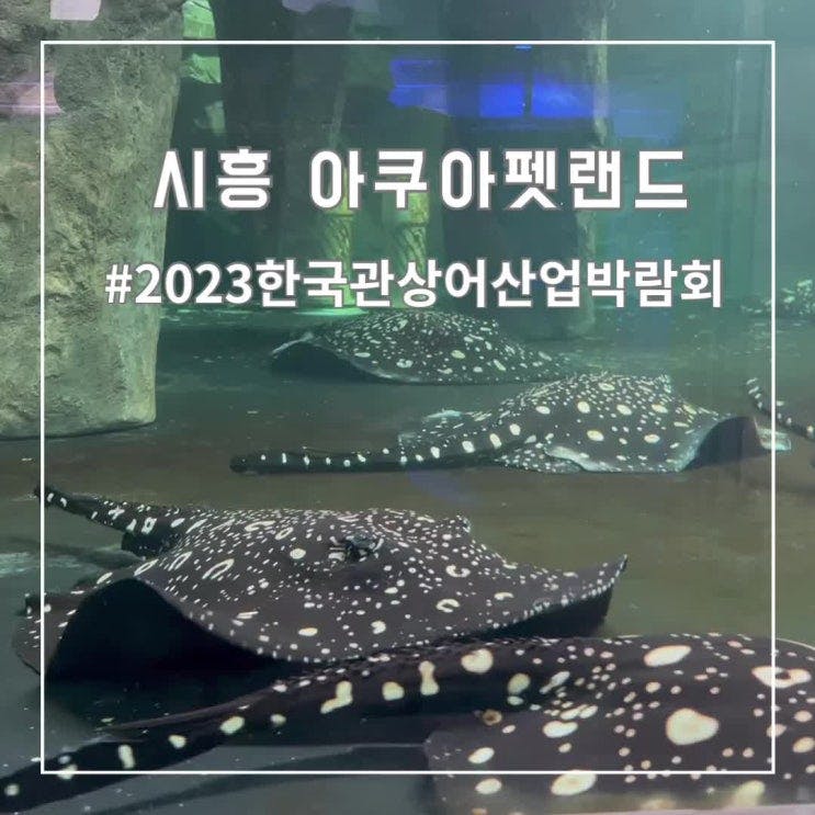 [경기 시흥] 해양생물 좋아하는 아이와 가볼만한 곳 거북섬...