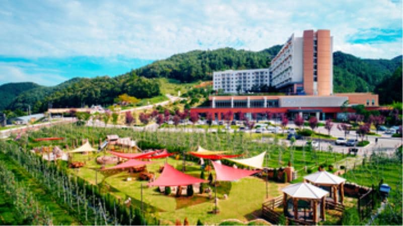 https://img.webtour.com/WebUpload/CMS/800/2026043013523138976124.jpg